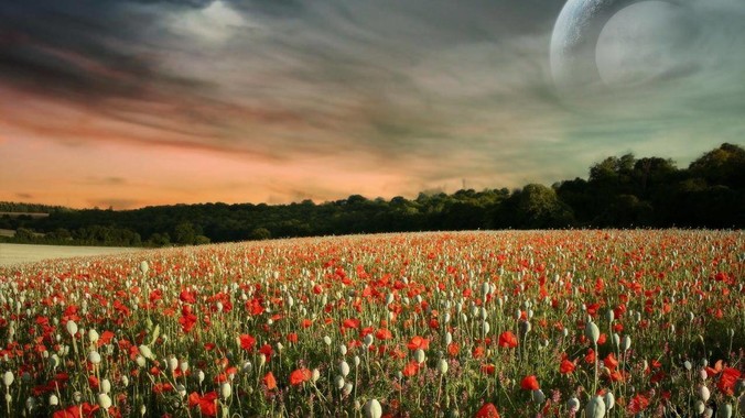 中国军事力量有希望达到全球第一吗？